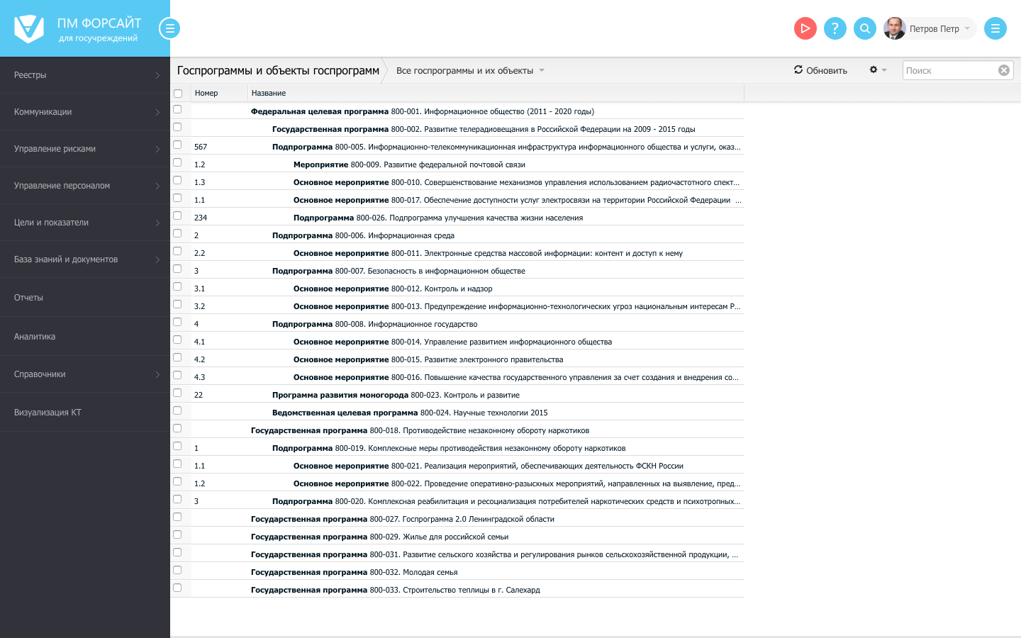 Скриншот (снимок экрана) ПМ Форсайт