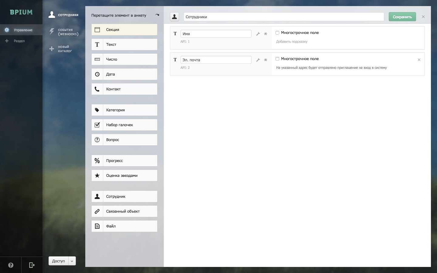 Скриншот (снимок экрана) Bpium