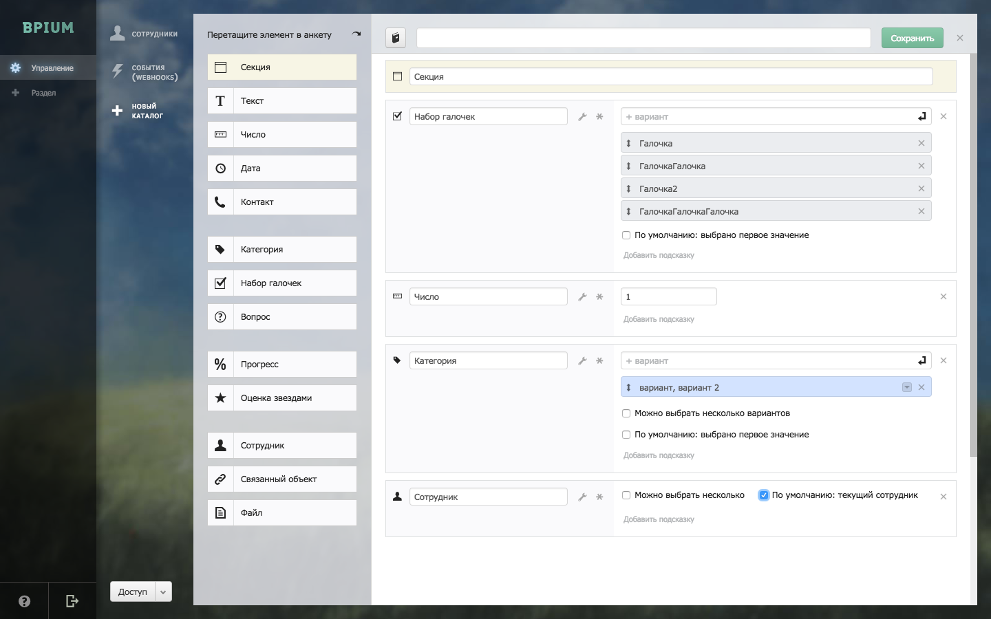 Скриншот (снимок экрана) Bpium