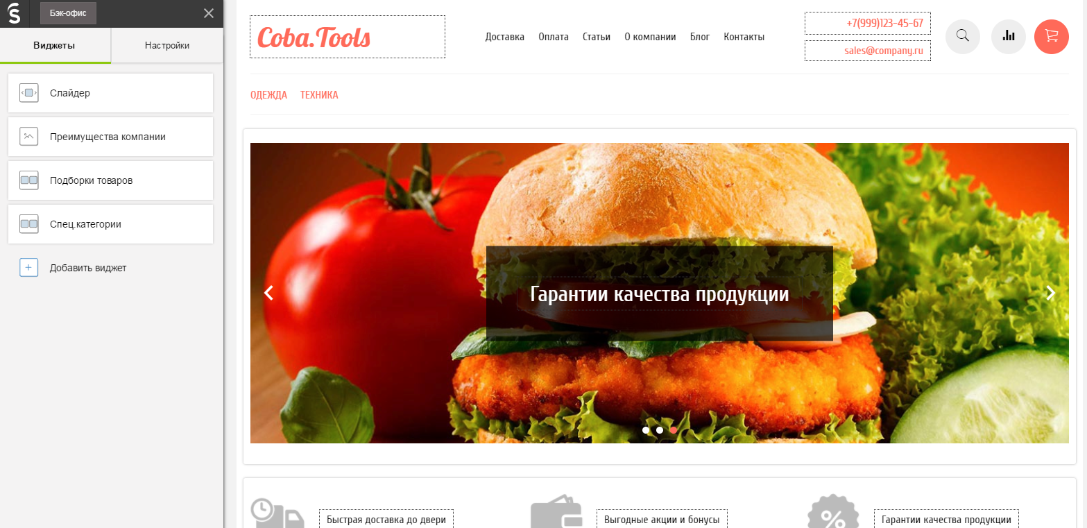 Скриншот (снимок экрана) InSales