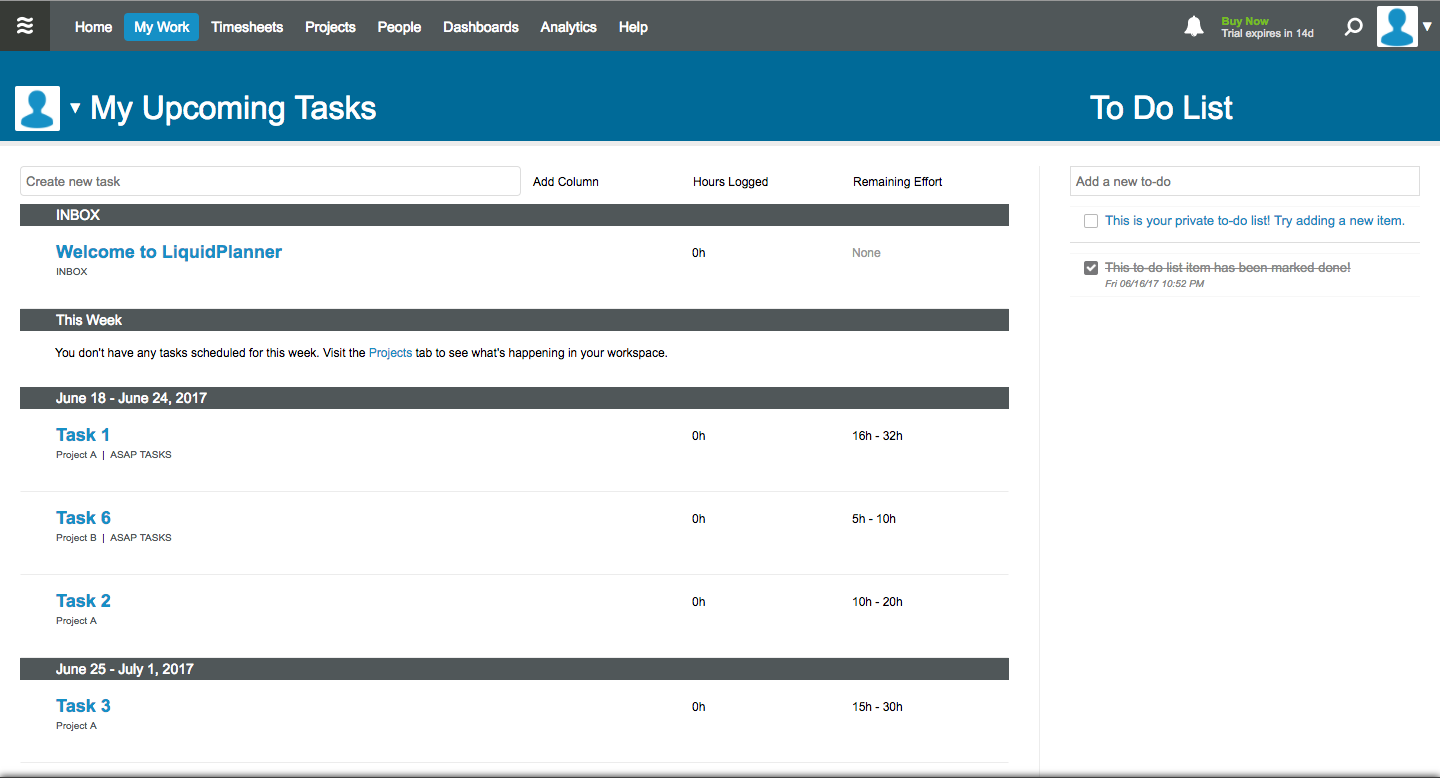 Скриншот (снимок экрана) LiquidPlanner