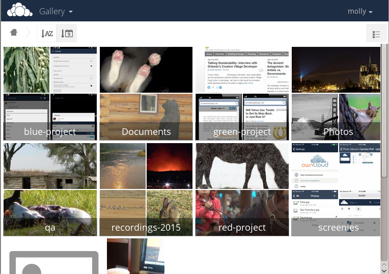 Скриншот (снимок экрана) OwnCloud
