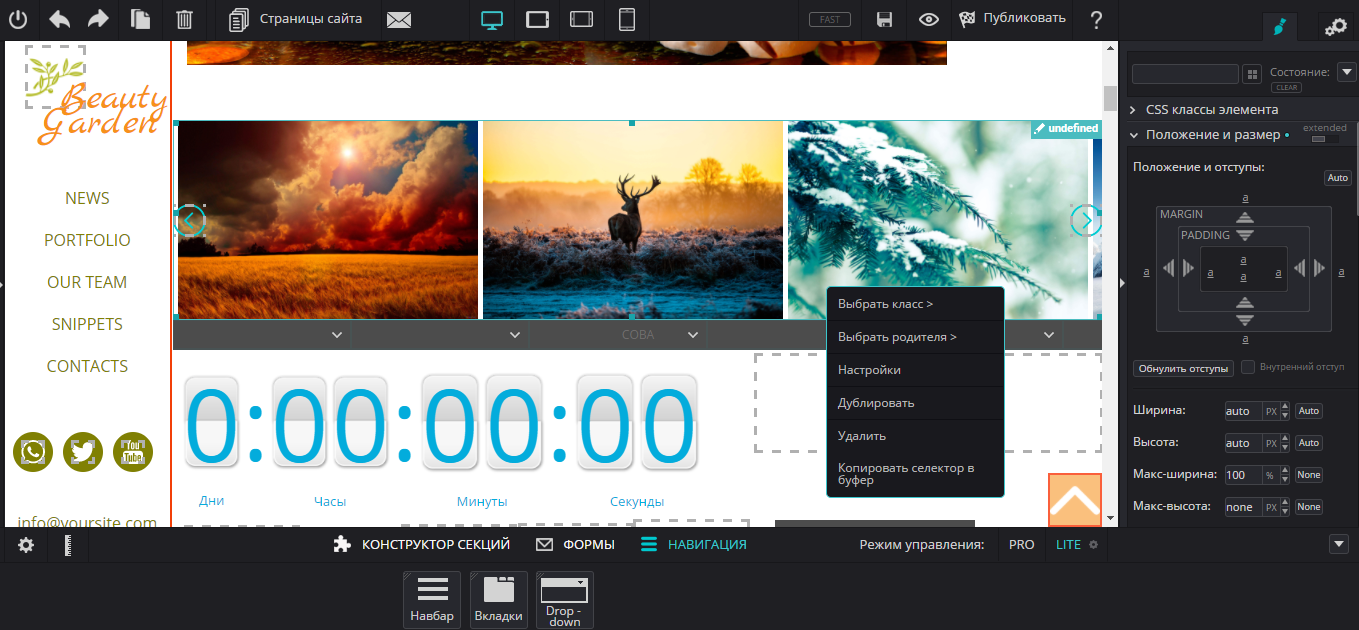 Скриншот (снимок экрана) Pixli
