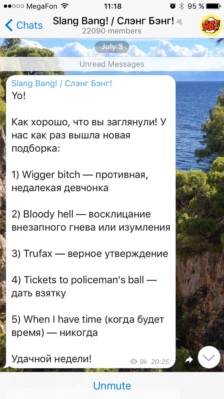 Скриншот (снимок экрана) Telegram