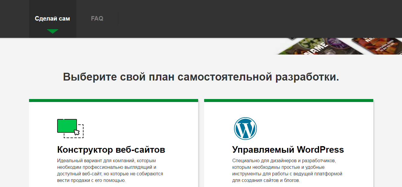 Скриншот (снимок экрана) GoDaddy