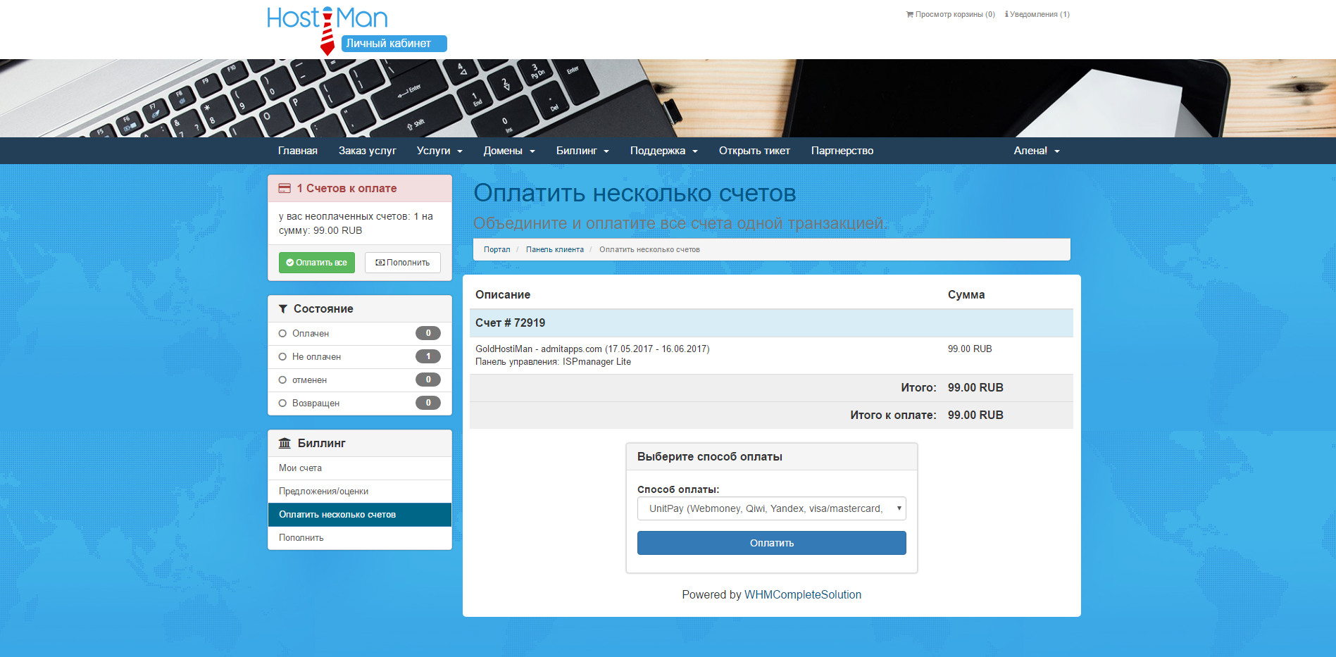 Скриншот (снимок экрана) hostiman
