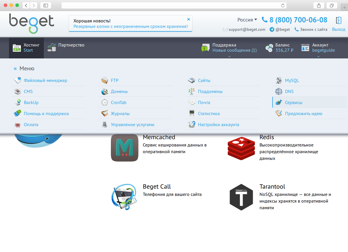 Скриншот (снимок экрана) Beget