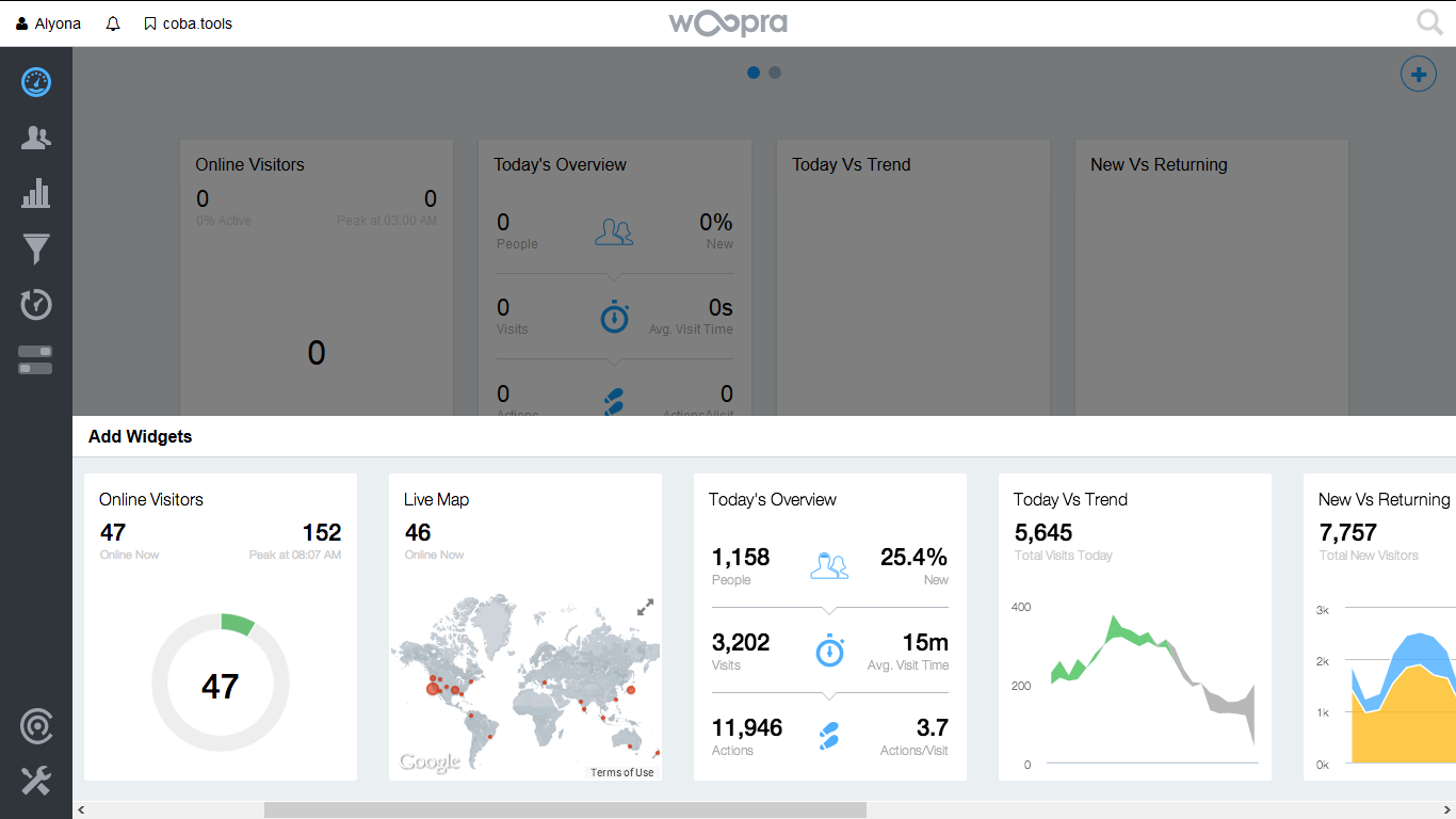 Скриншот (снимок экрана) Woopra