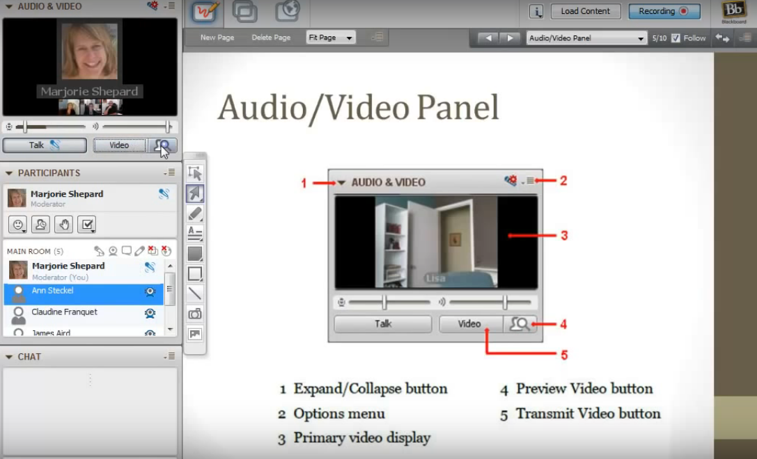Скриншот (снимок экрана) Blackboard Collaborate