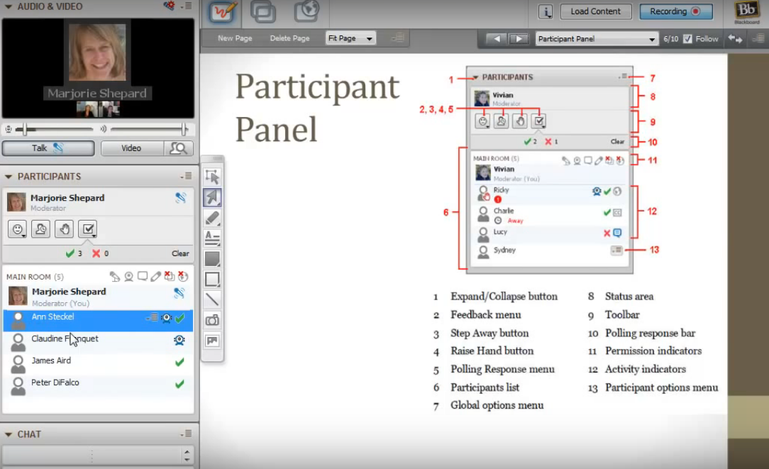 Скриншот (снимок экрана) Blackboard Collaborate