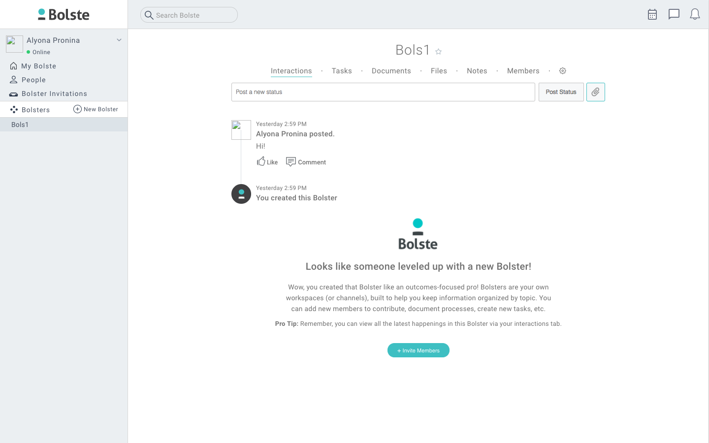 Скриншот (снимок экрана) Bolste