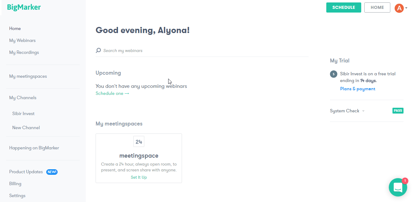 Скриншот (снимок экрана) BigMarker