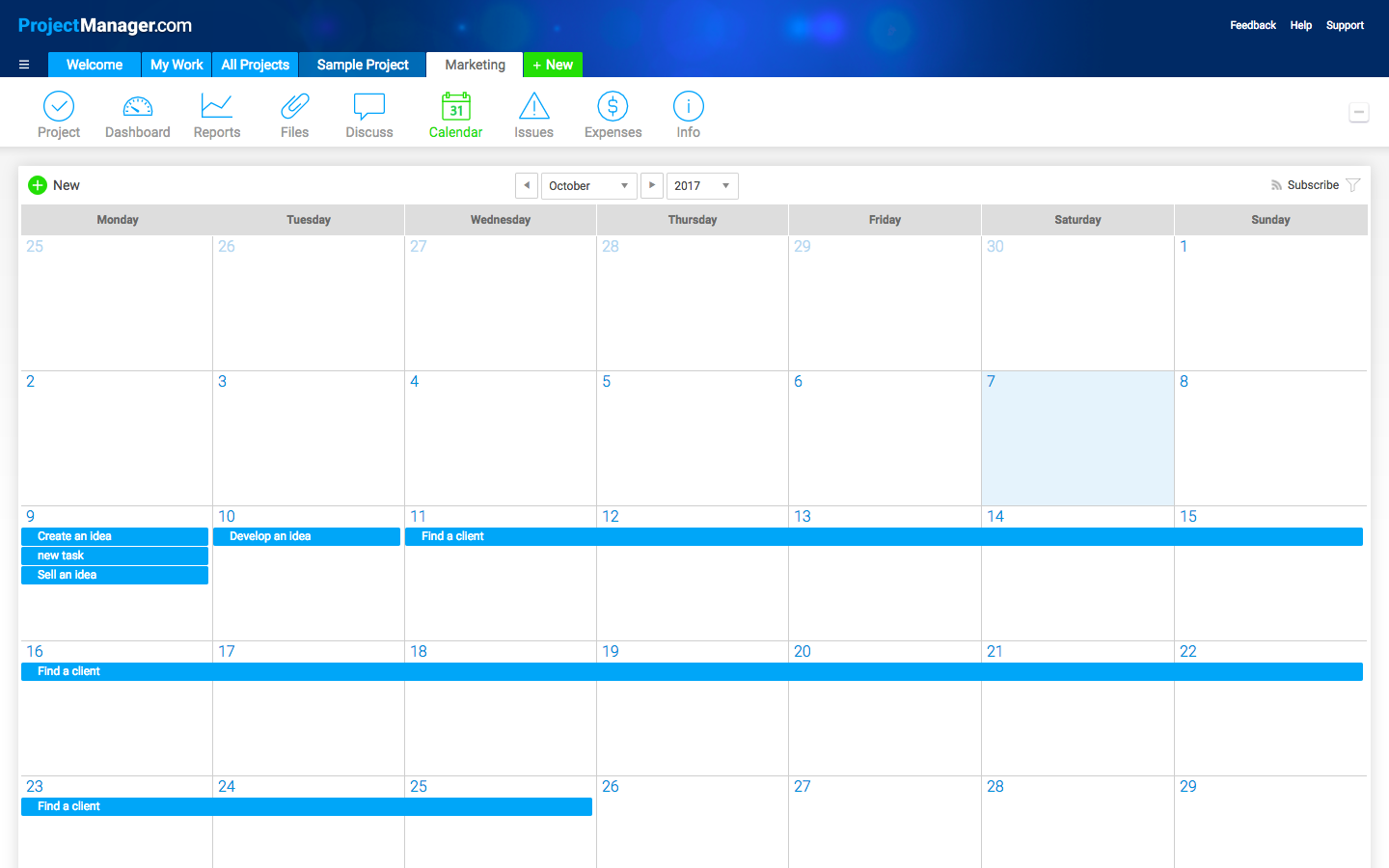 Скриншот (снимок экрана) Project Manager