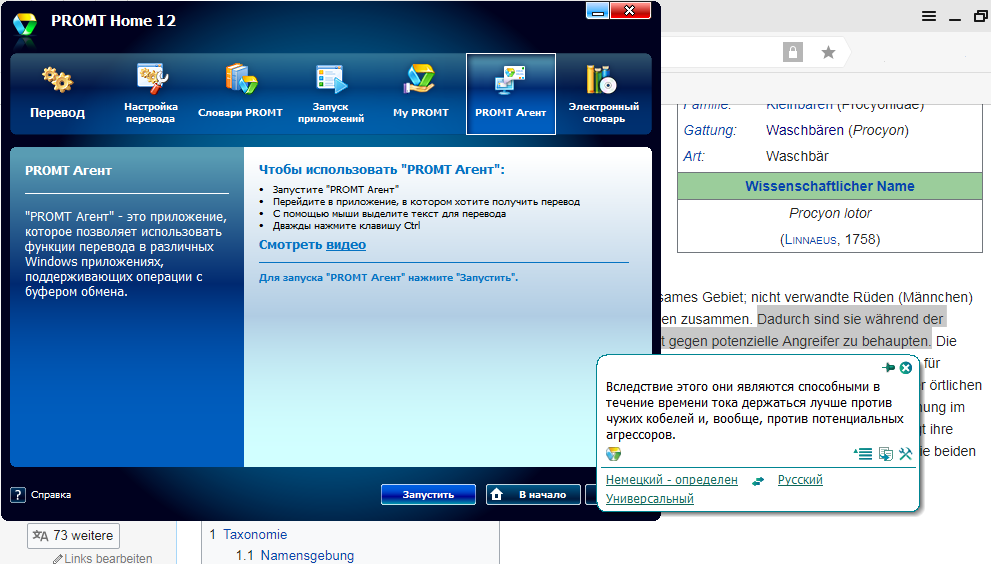 Скриншот (снимок экрана) PROMT