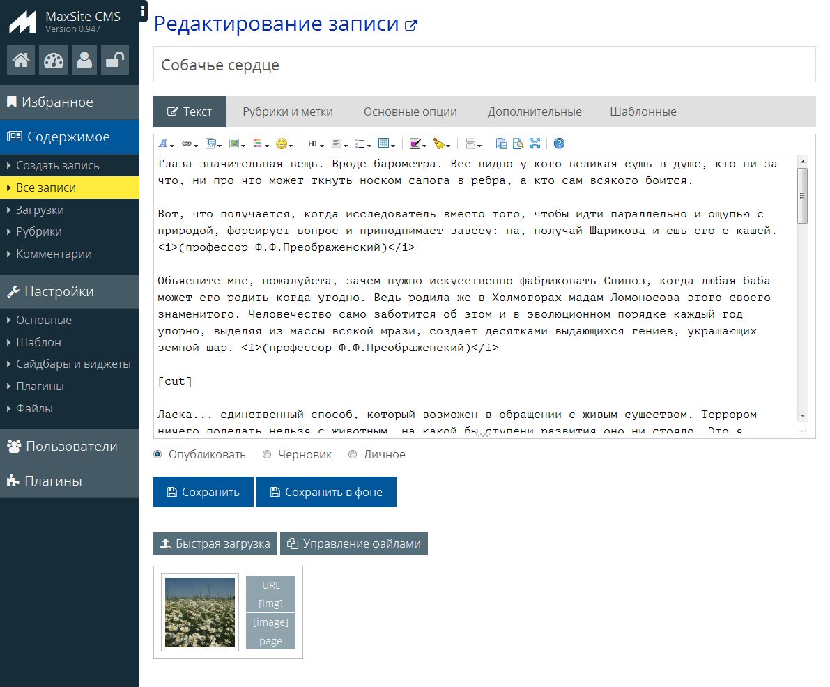 Скриншот (снимок экрана) MaxSite CMS
