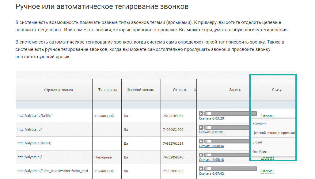 Скриншот (снимок экрана) Alytics