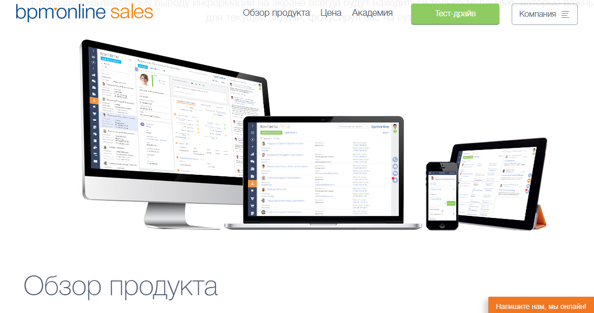 Скриншот (снимок экрана) bpm'online sales