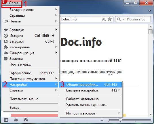 Скриншот (снимок экрана) Opera Turbo