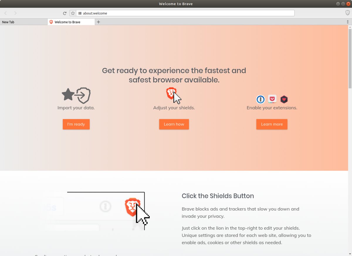 Скриншот (снимок экрана) Brave