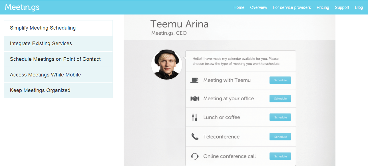 Скриншот (снимок экрана) Meetin.gs