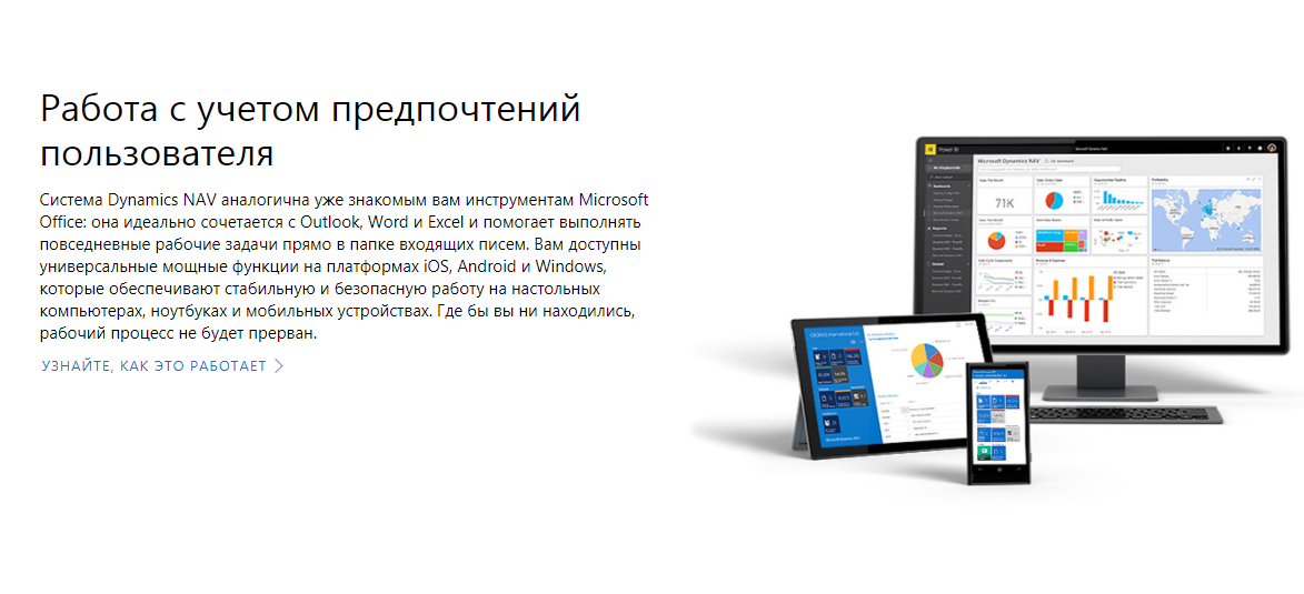 Скриншот (снимок экрана) Microsoft Dynamics NAV