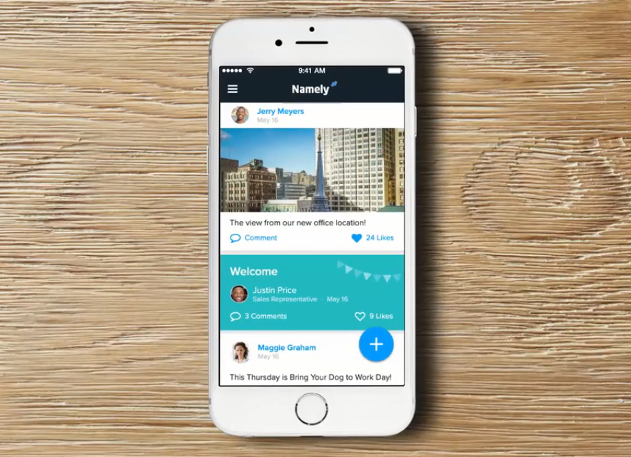 Скриншот (снимок экрана) Namely