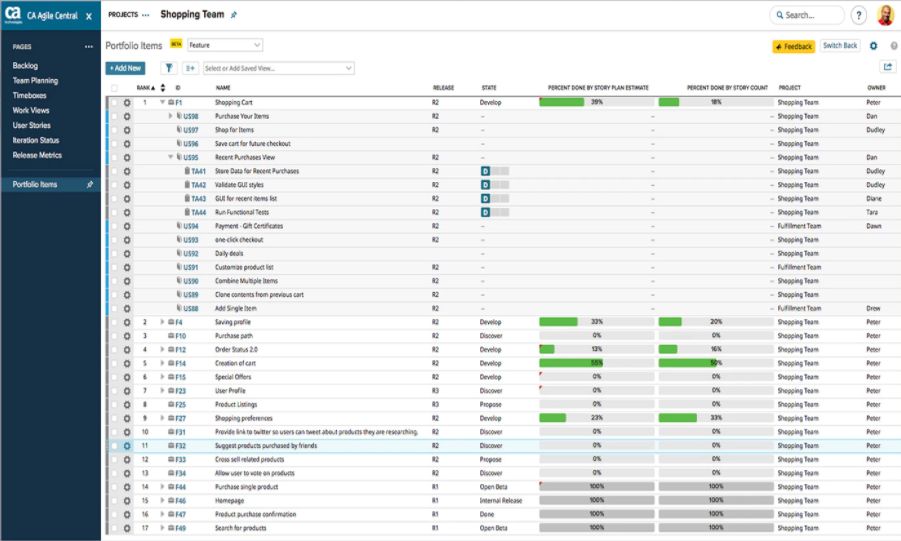 Скриншот (снимок экрана) CA Agile Central