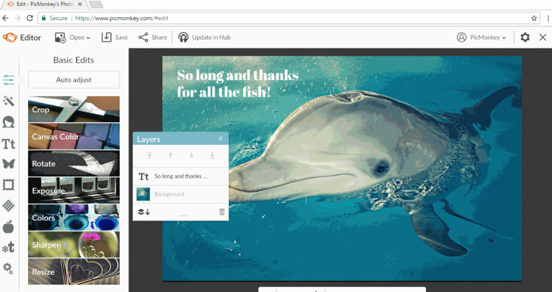 Скриншот (снимок экрана) Picmonkey