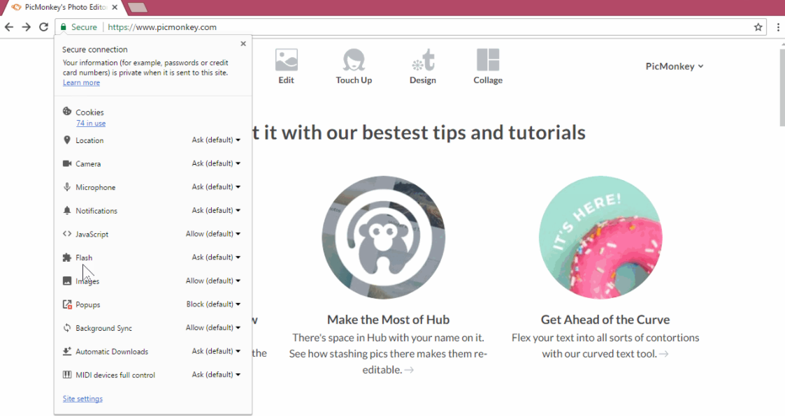 Скриншот (снимок экрана) Picmonkey