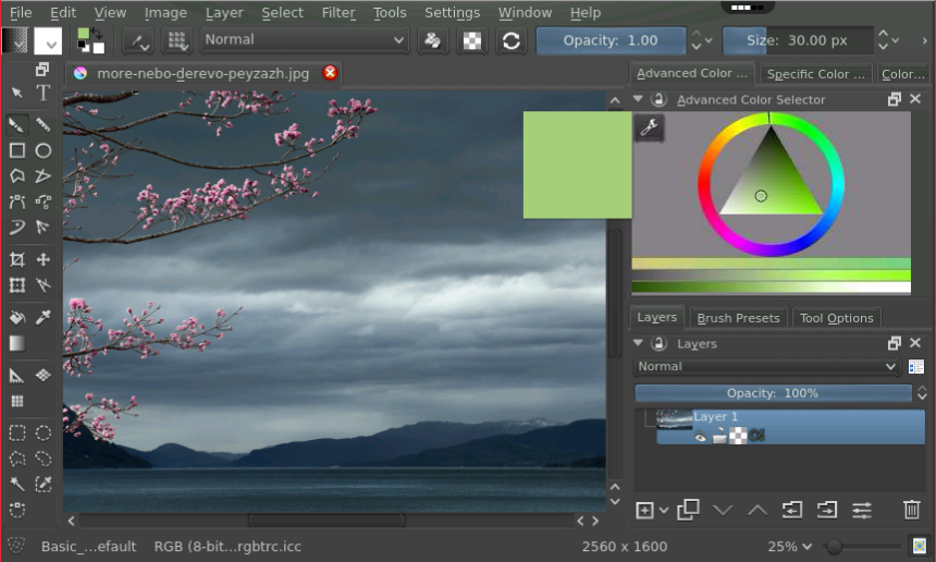 Скриншот (снимок экрана) Krita