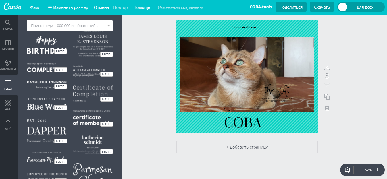 Скриншот (снимок экрана) Canva