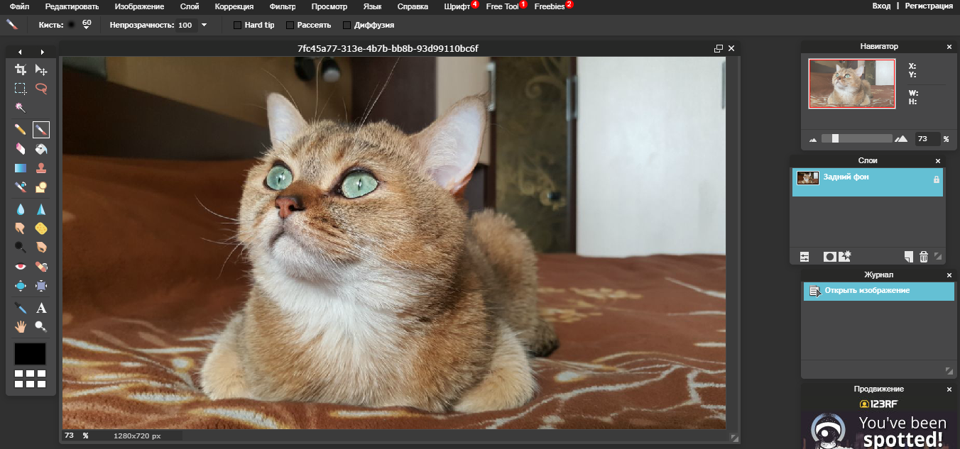 Скриншот (снимок экрана) PXLR Editor