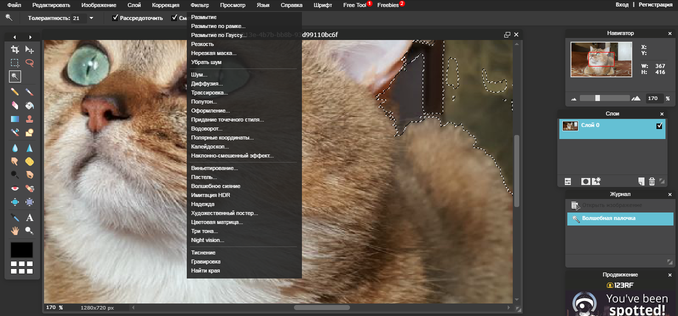 Скриншот (снимок экрана) PXLR Editor