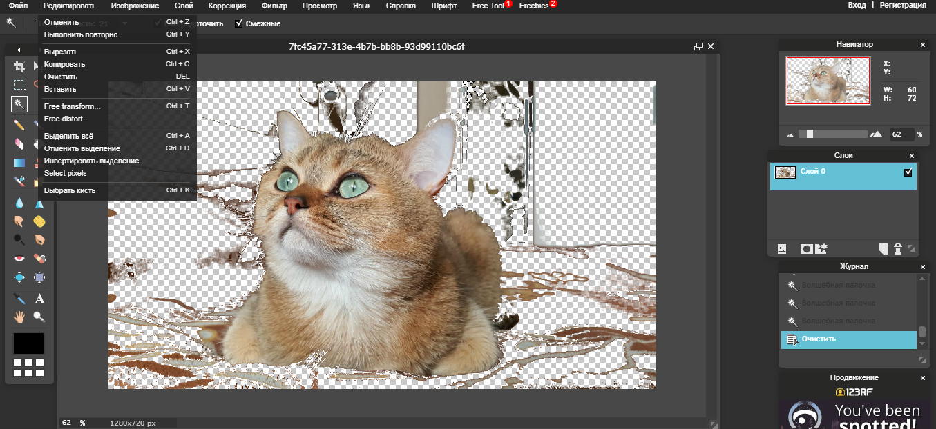 Скриншот (снимок экрана) PXLR Editor