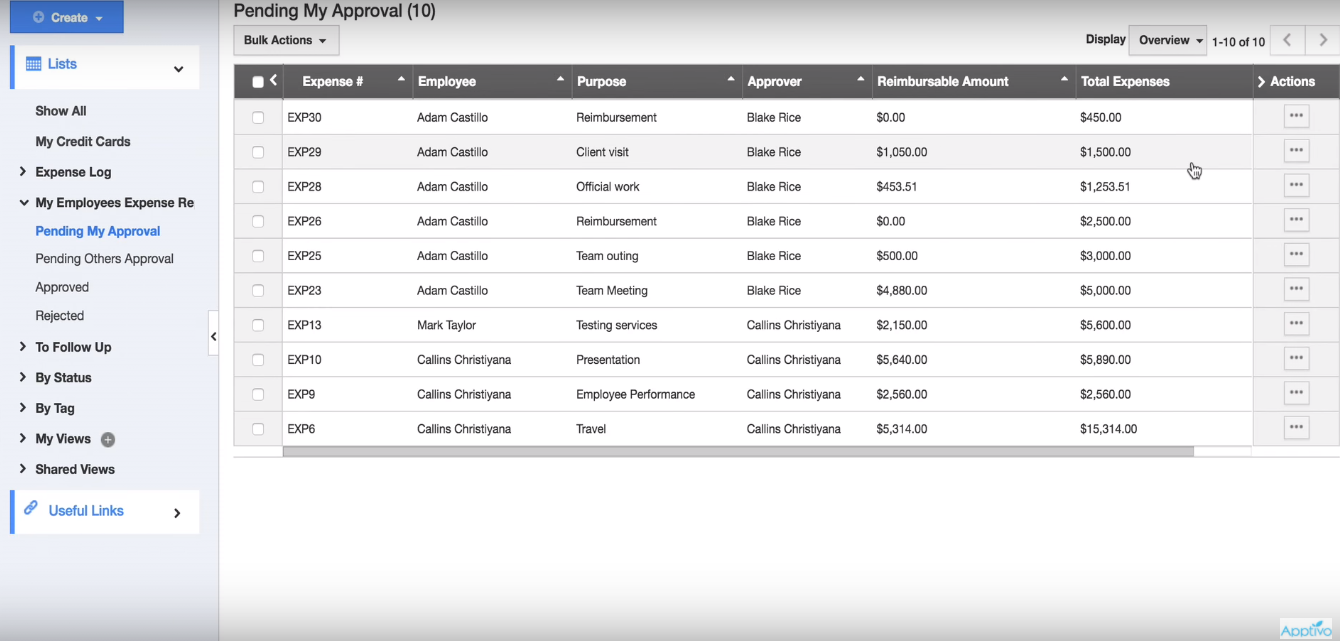 Скриншот (снимок экрана) Apptivo Expense Reports