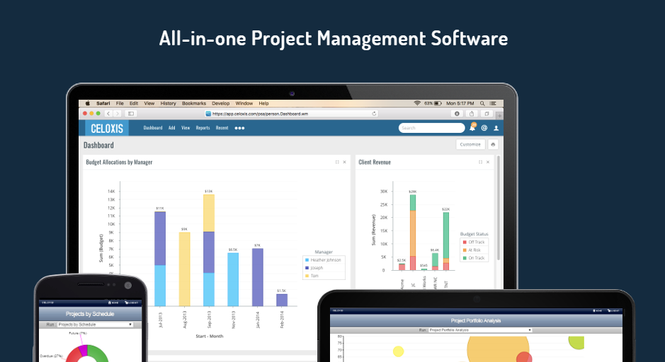 Скриншот (снимок экрана) Celoxis