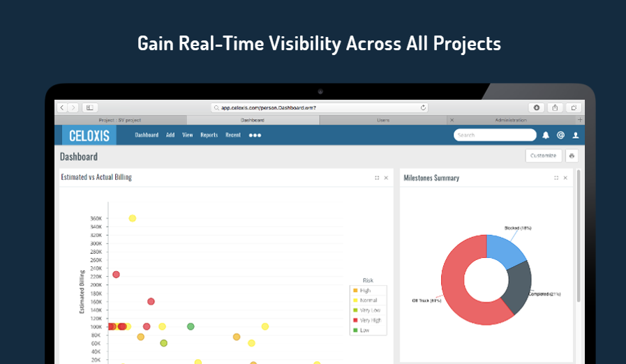 Скриншот (снимок экрана) Celoxis