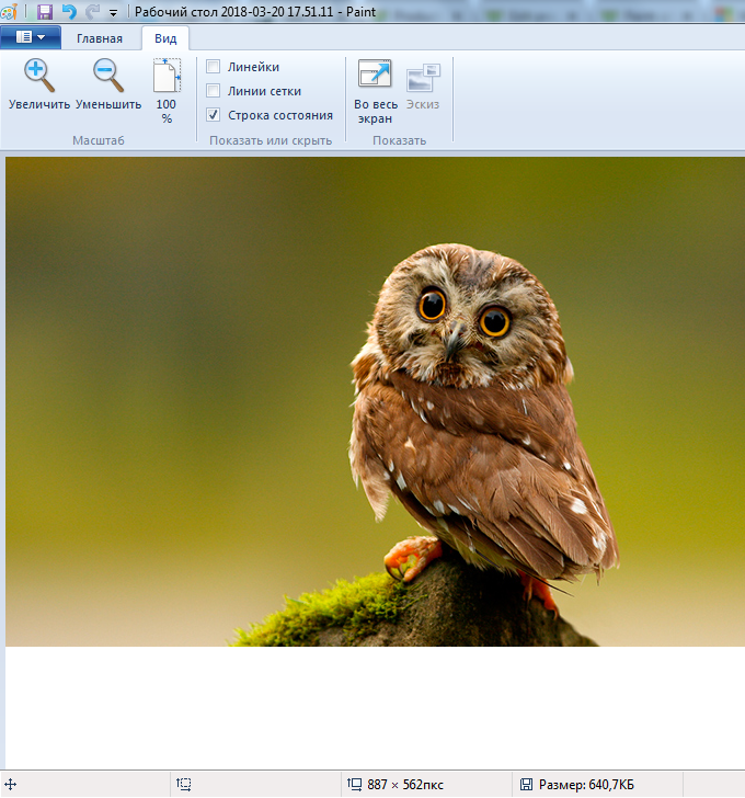 Скриншот (снимок экрана) Paint