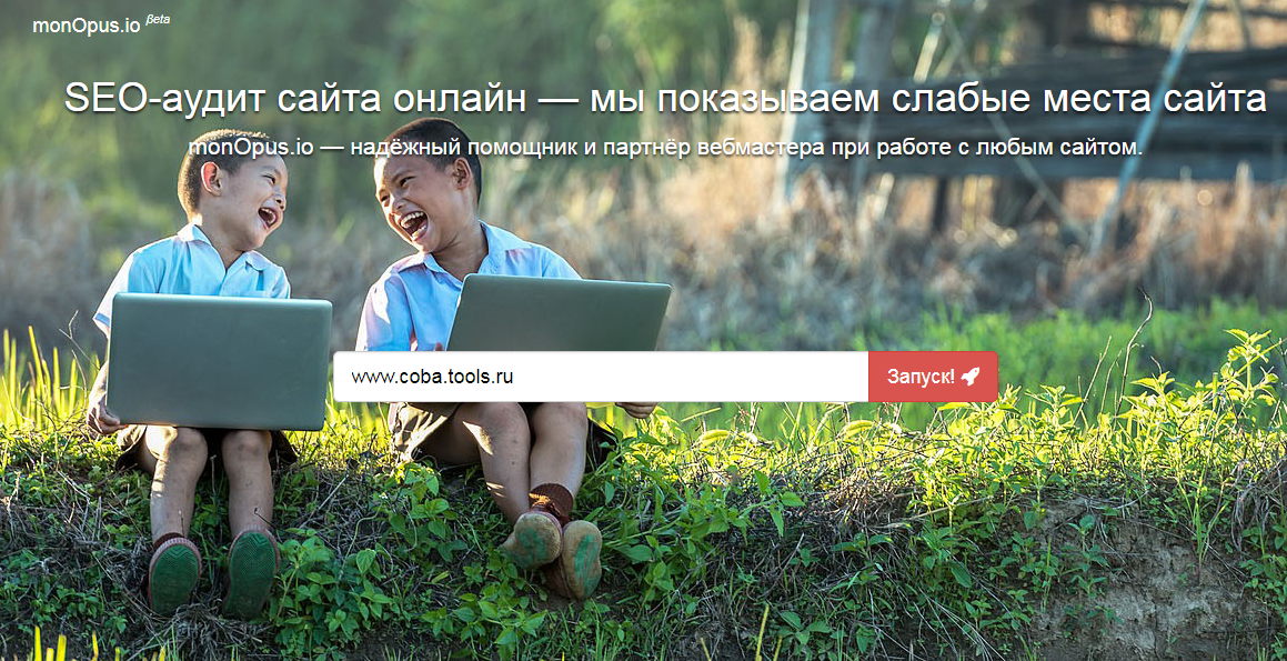 Скриншот (снимок экрана) MonOpus