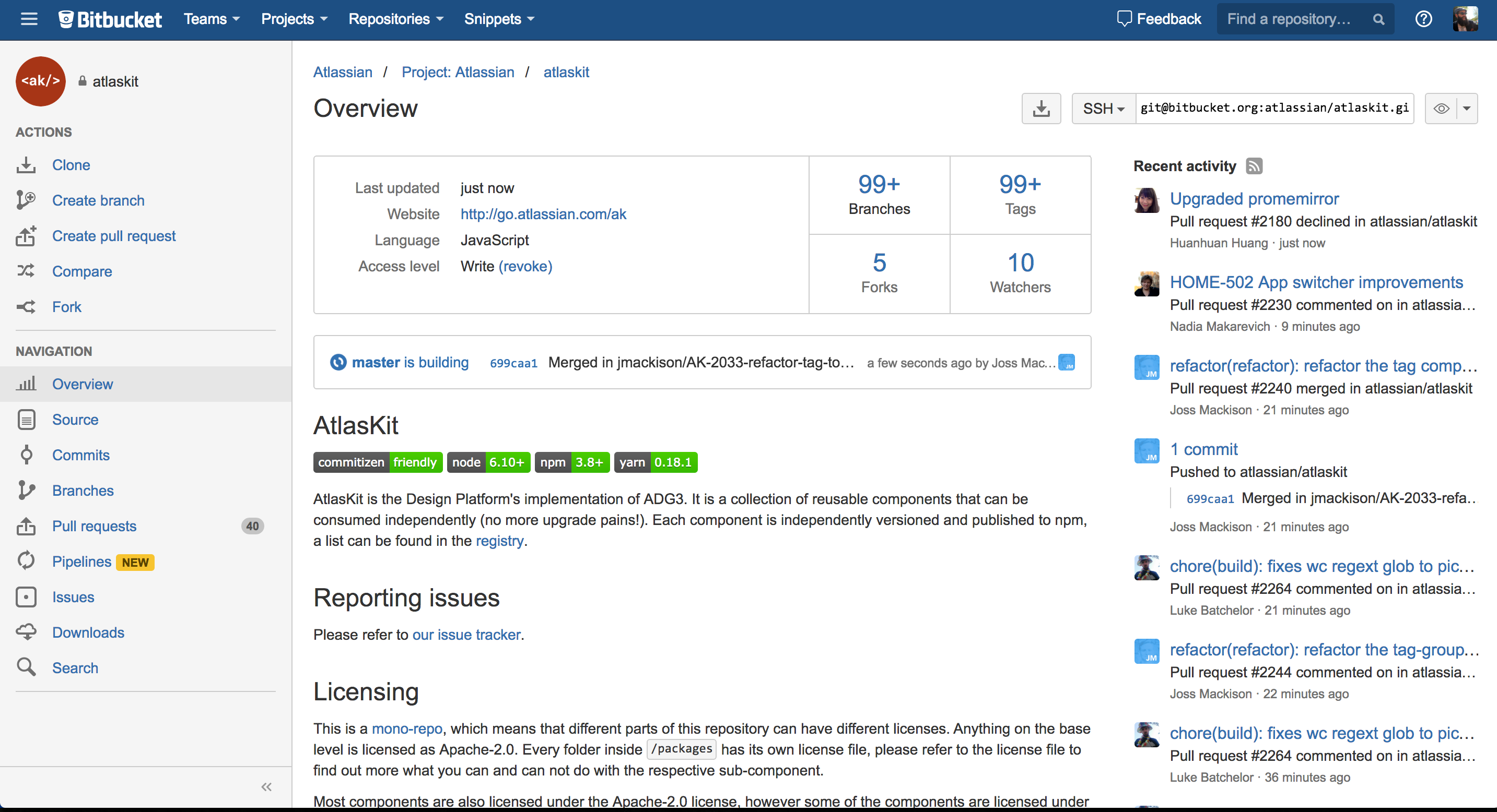 Скриншот (снимок экрана) bitbucket