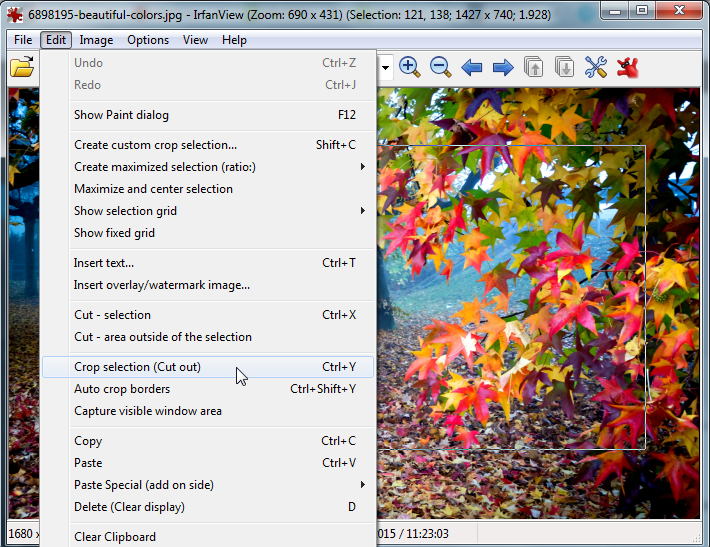 Скриншот (снимок экрана) IrfanView