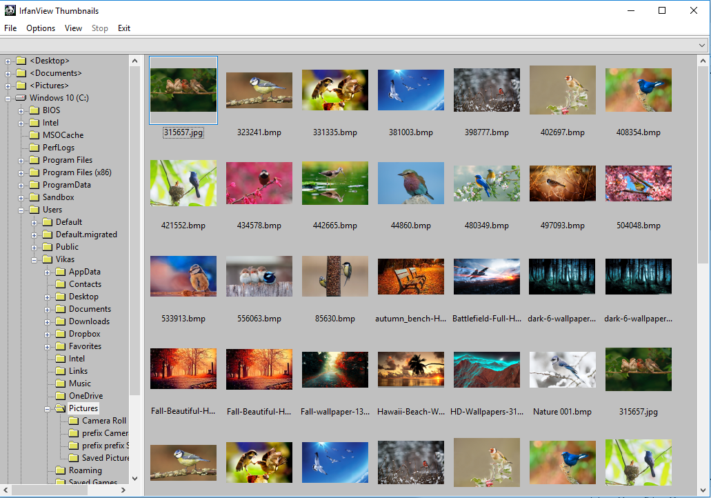 Скриншот (снимок экрана) IrfanView