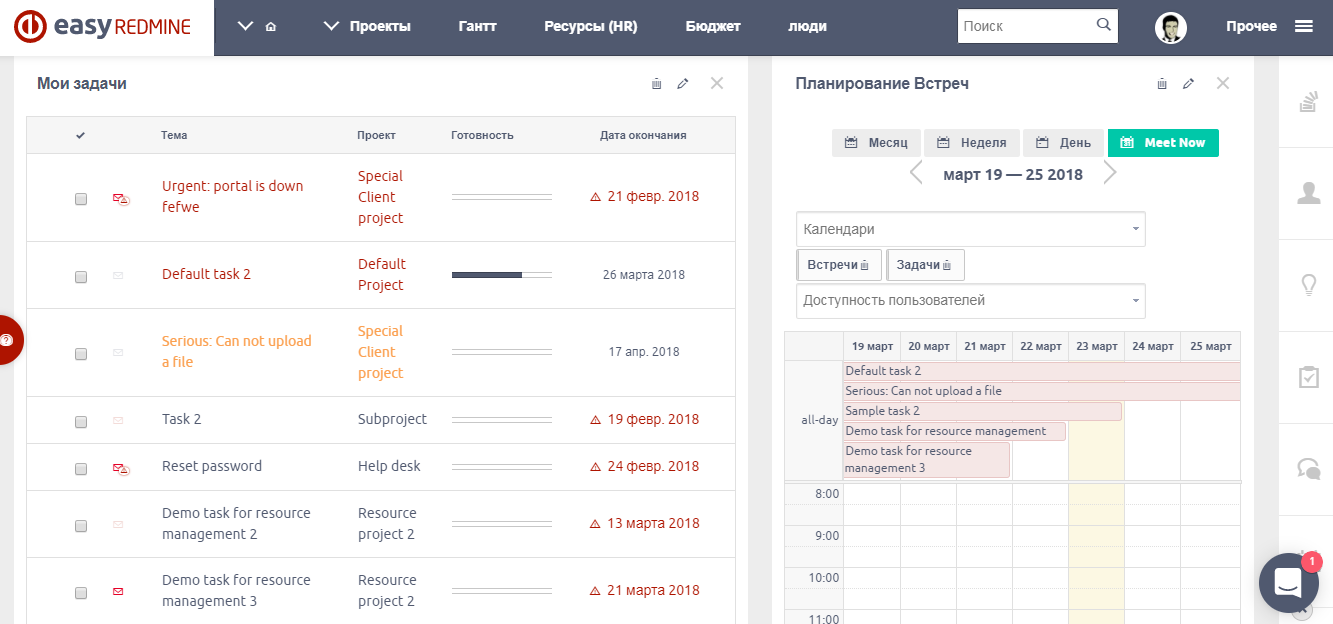 Скриншот (снимок экрана) easy redmine