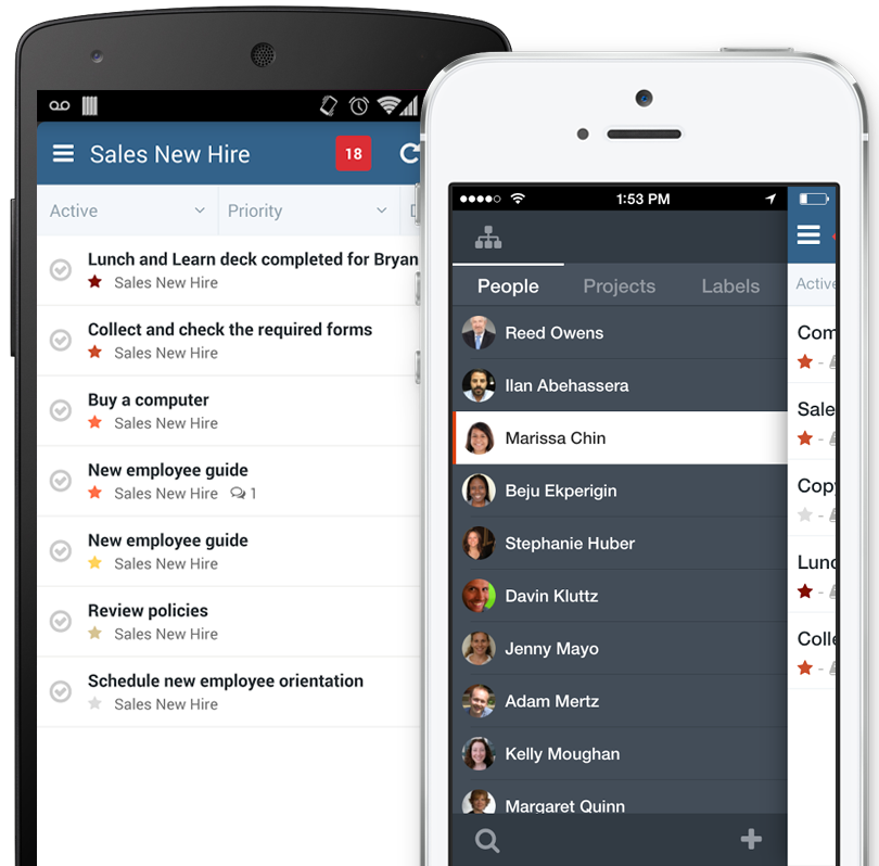 Скриншот (снимок экрана) producteev