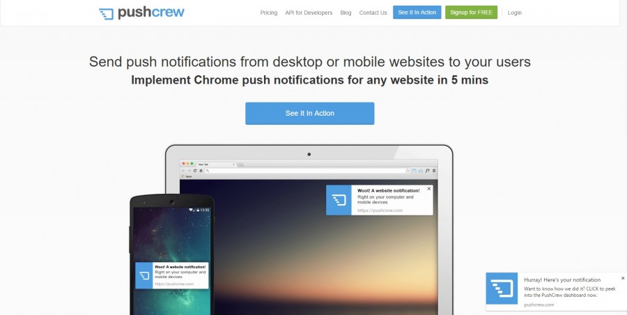 Скриншот (снимок экрана) Pushcrew