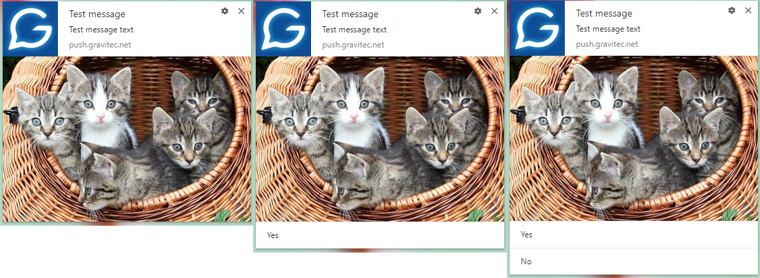 Скриншот (снимок экрана) Gravitec