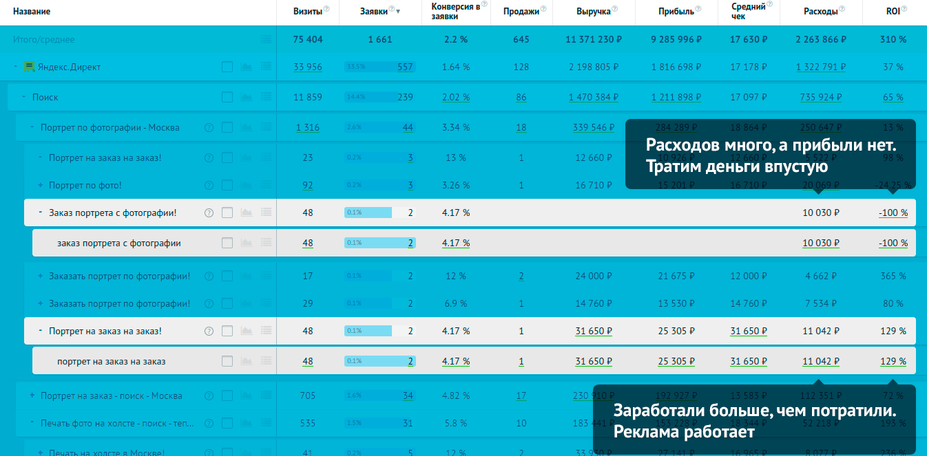 Скриншот (снимок экрана) Roistat