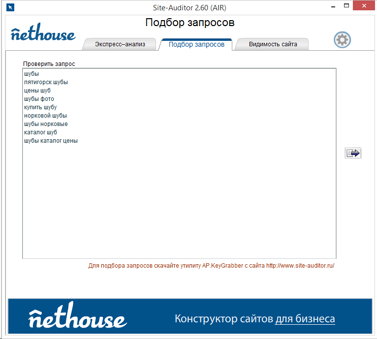 Скриншот (снимок экрана) Site-Auditor