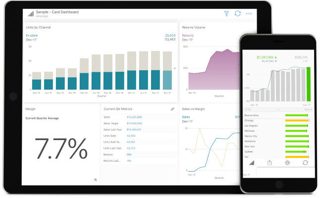 Скриншот (снимок экрана) SAP Roambi