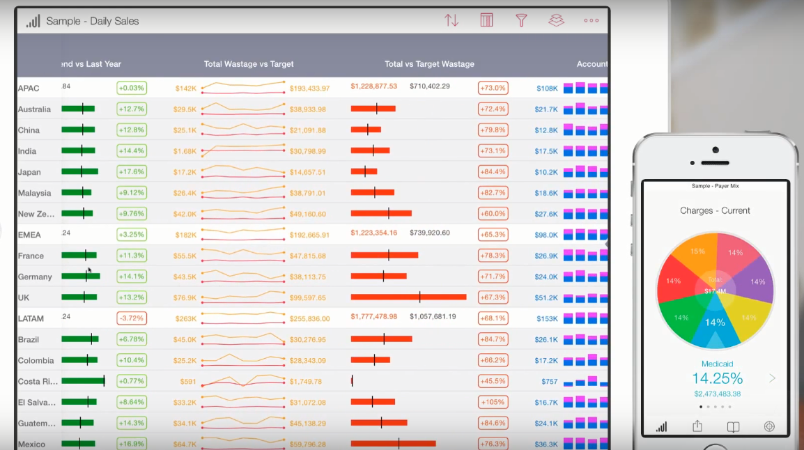 Скриншот (снимок экрана) SAP Roambi